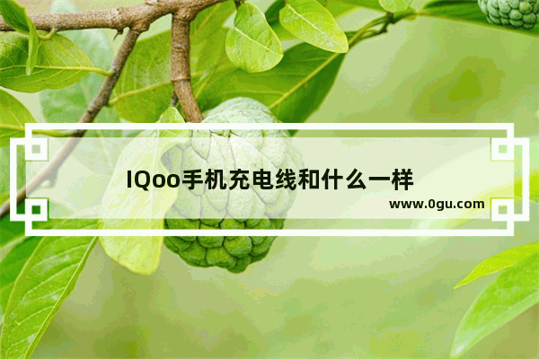 IQoo手机充电线和什么一样