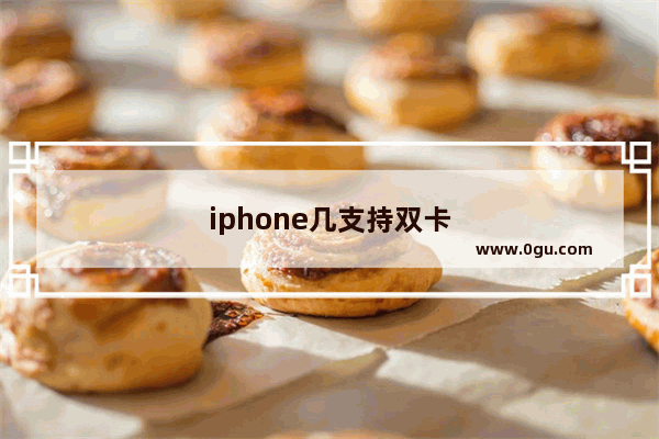 iphone几支持双卡