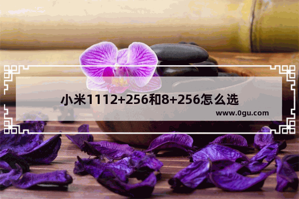 小米1112+256和8+256怎么选