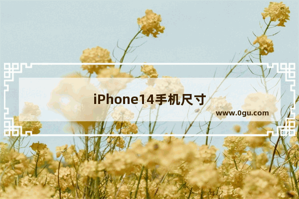 iPhone14手机尺寸