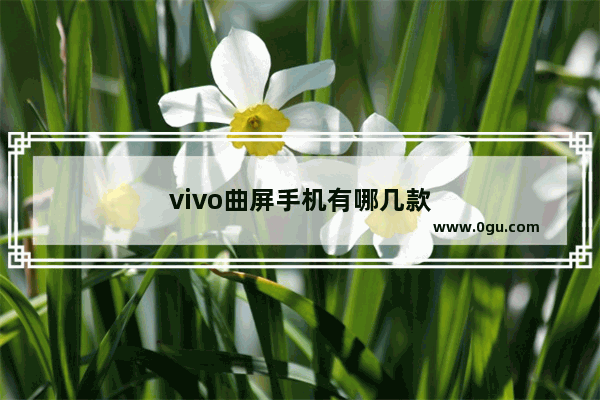 vivo曲屏手机有哪几款