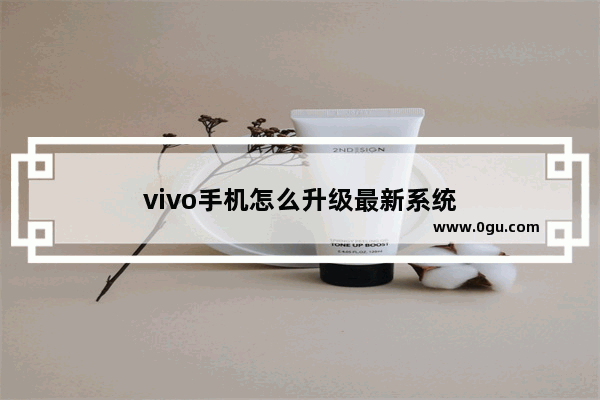 vivo手机怎么升级最新系统