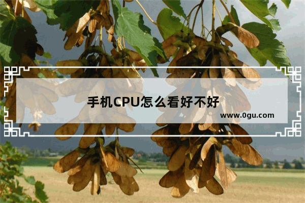 手机CPU怎么看好不好