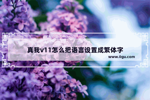 真我v11怎么把语言设置成繁体字