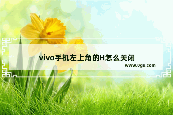 vivo手机左上角的H怎么关闭