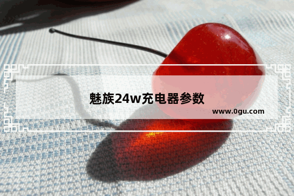 魅族24w充电器参数