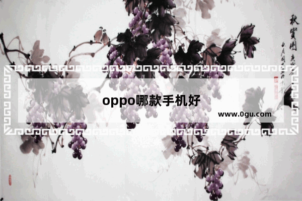 oppo哪款手机好