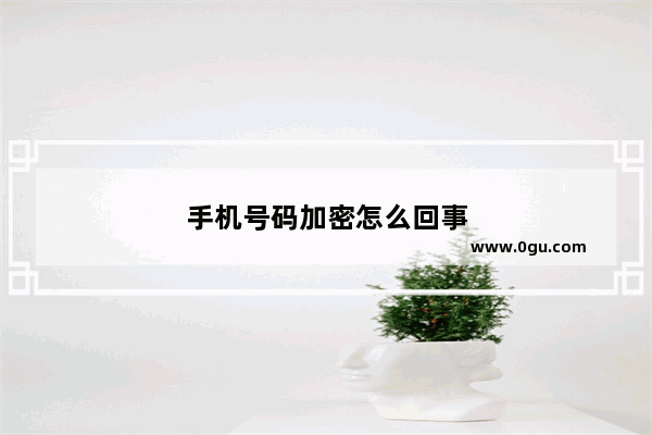 手机号码加密怎么回事