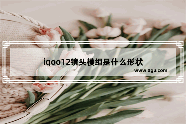 iqoo12镜头模组是什么形状