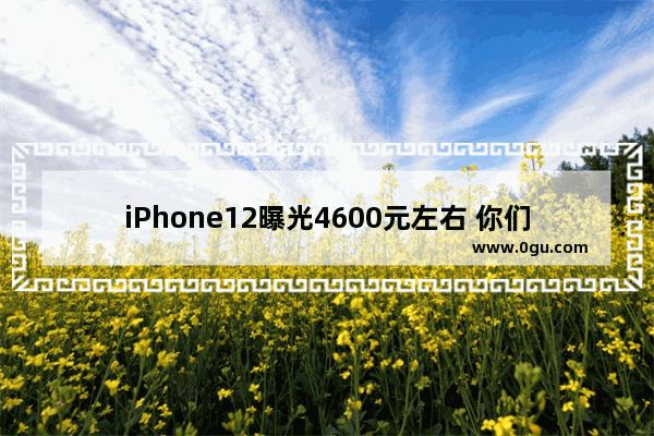 iPhone12曝光4600元左右 你们会买这款手机吗