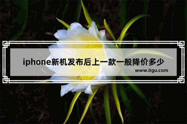 iphone新机发布后上一款一般降价多少