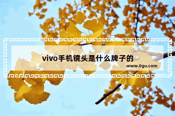 vivo手机镜头是什么牌子的