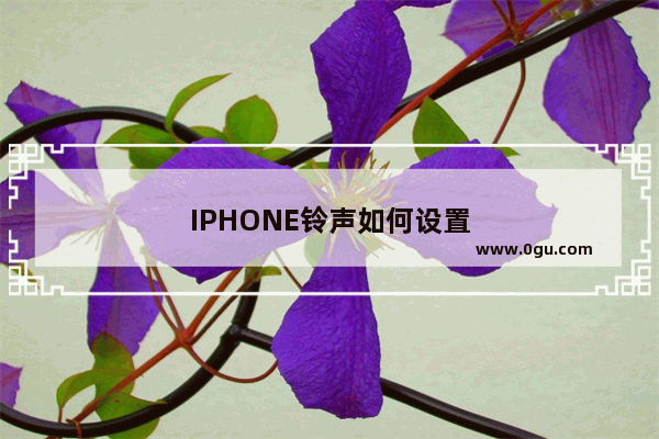 IPHONE铃声如何设置