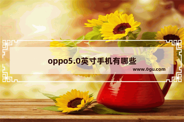 oppo5.0英寸手机有哪些