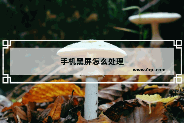 手机黑屏怎么处理