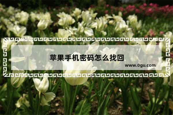 苹果手机密码怎么找回