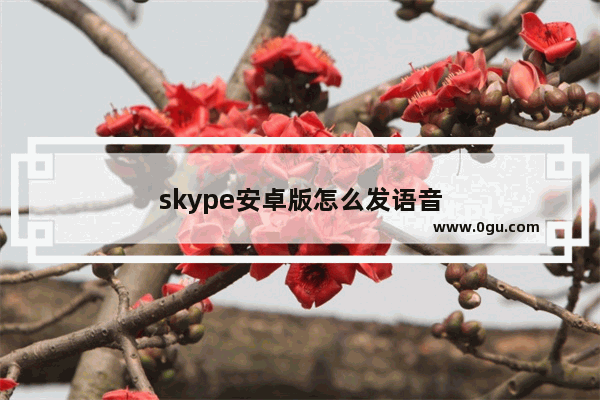 skype安卓版怎么发语音