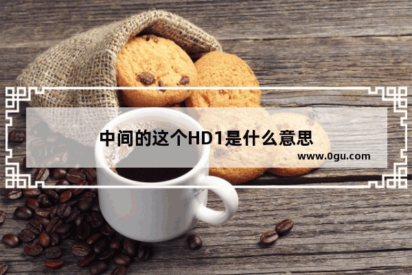 中间的这个HD1是什么意思