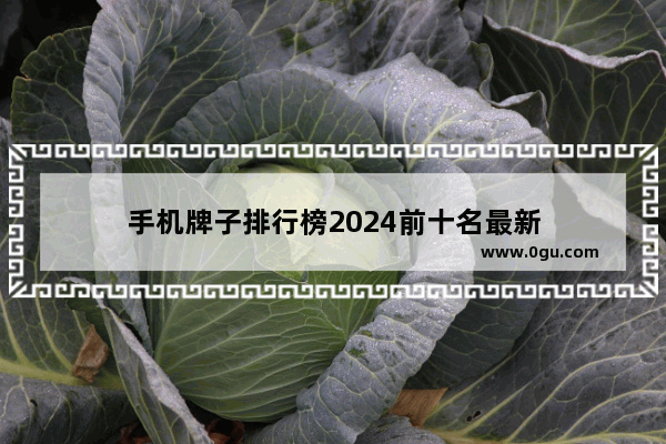 手机牌子排行榜2024前十名最新