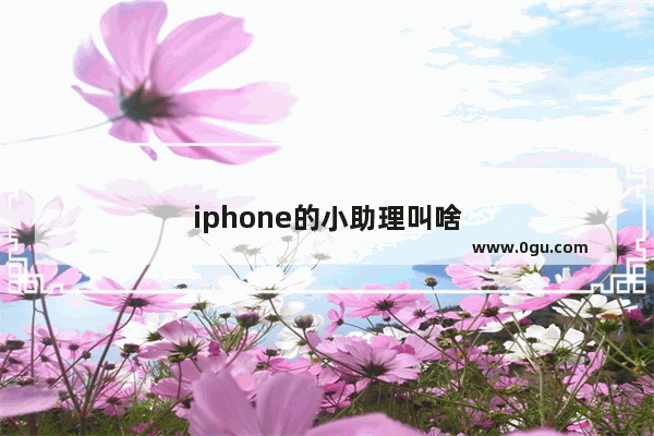 iphone的小助理叫啥