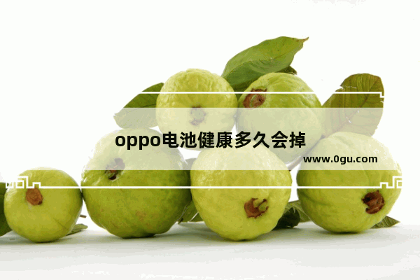 oppo电池健康多久会掉