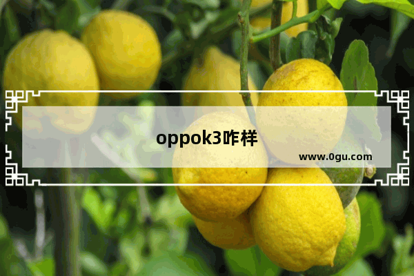 oppok3咋样