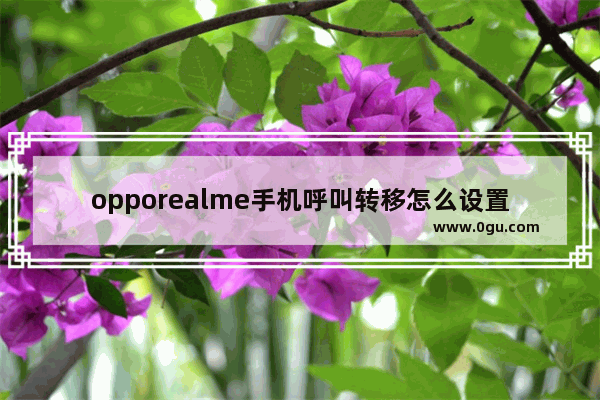 opporealme手机呼叫转移怎么设置