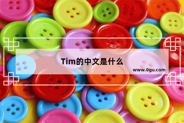 Tim的中文是什么