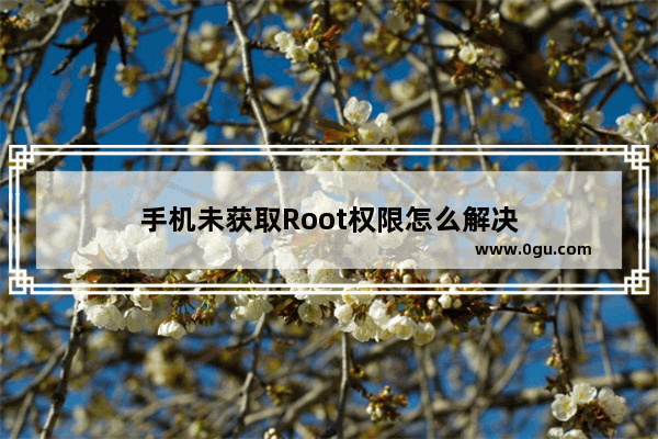 手机未获取Root权限怎么解决