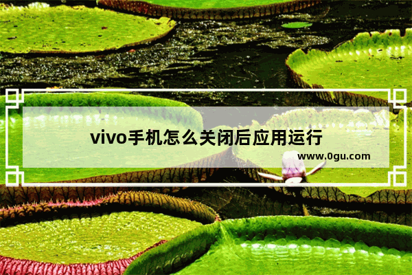 vivo手机怎么关闭后应用运行