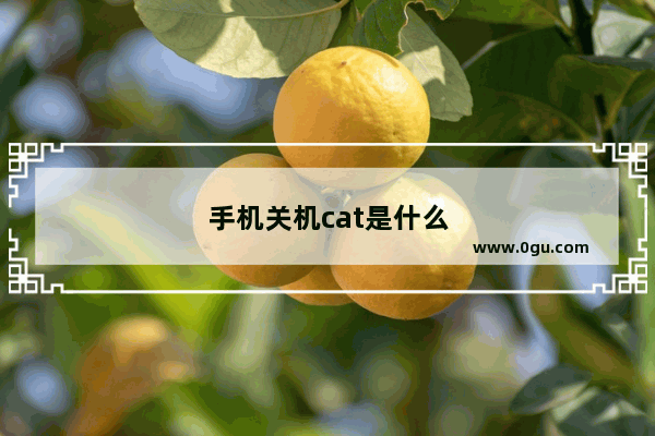 手机关机cat是什么