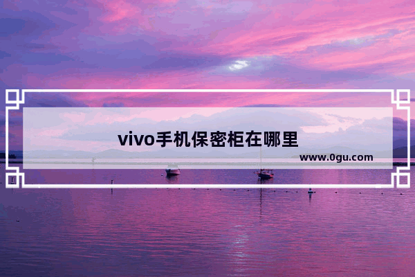 vivo手机保密柜在哪里