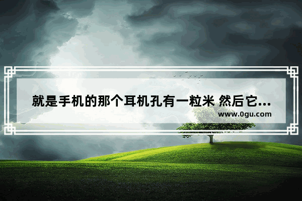 就是手机的那个耳机孔有一粒米 然后它被我弄烂了 可是还有一部分没出来 怎么办