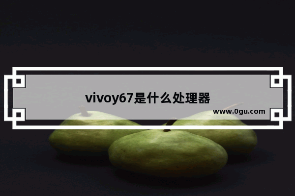 vivoy67是什么处理器