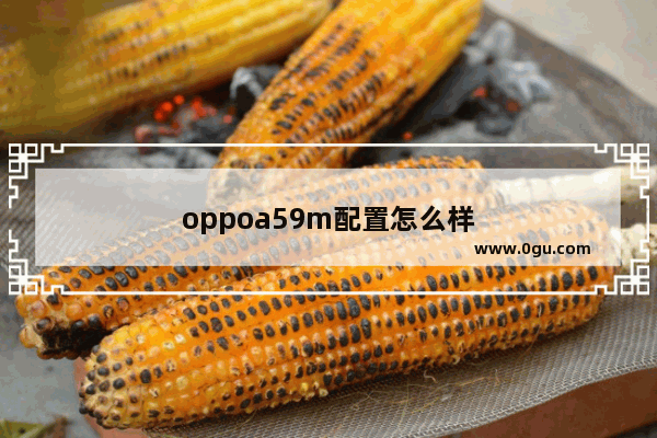 oppoa59m配置怎么样