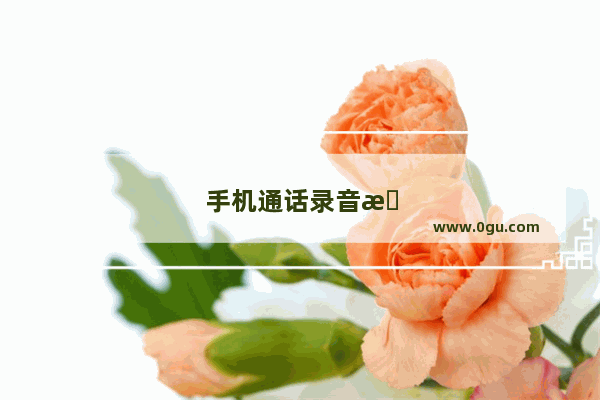 手机通话录音怎么查找