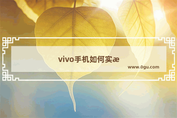 vivo手机如何实时显示手机温度