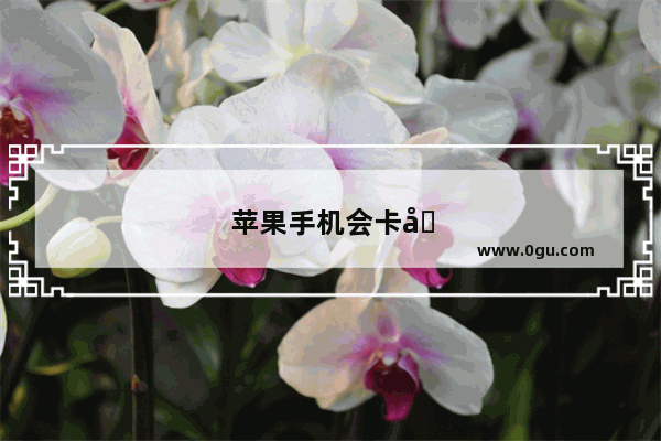 苹果手机会卡吗