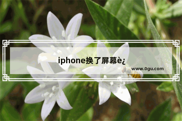 iphone换了屏幕还保值么