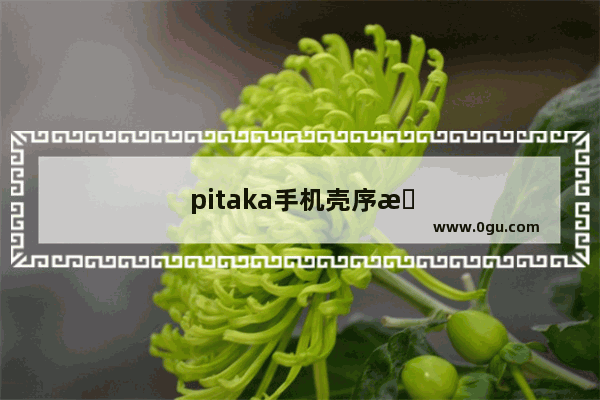 pitaka手机壳序曲跟狂想选哪个