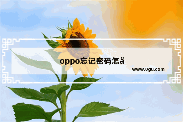 oppo忘记密码怎么还原手机