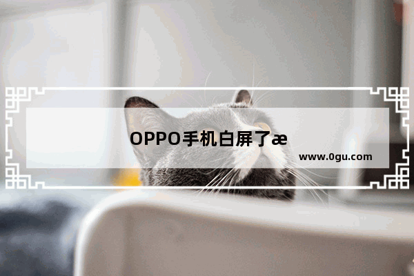 OPPO手机白屏了怎么弄