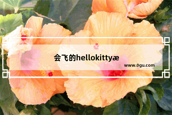 会飞的hellokitty怎么安装