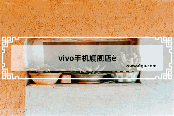 vivo手机旗舰店苏州官方店