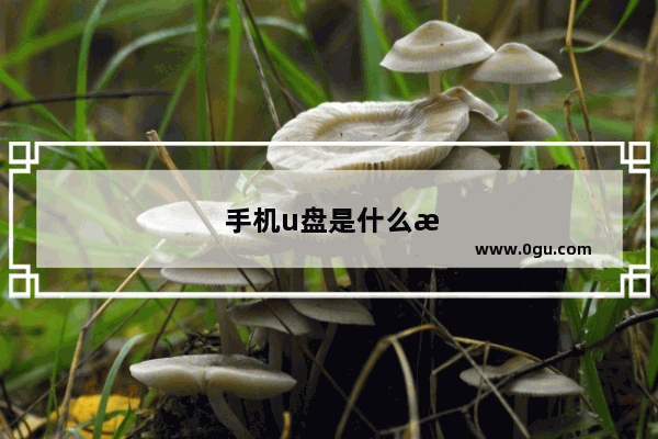 手机u盘是什么格式