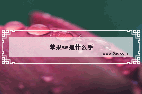 苹果se是什么手机