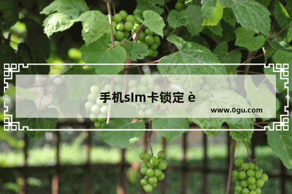 手机sIm卡锁定 输pIN码是什么意思