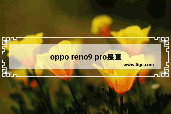 oppo reno9 pro是直屏还是曲面屏