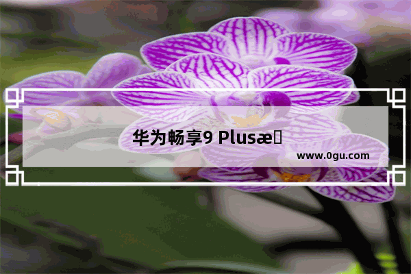 华为畅享9 Plus怎么不卡顿