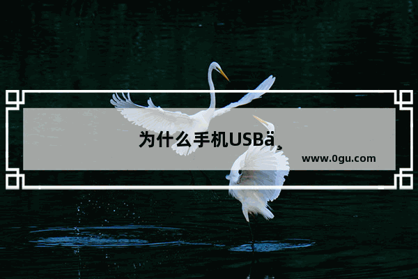 为什么手机USB不读U盘